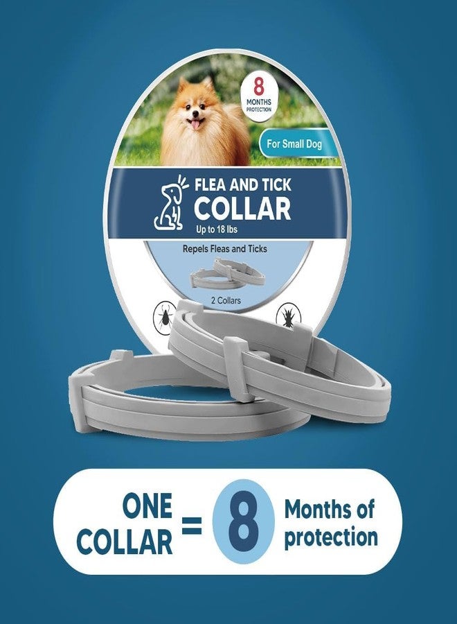 Elvana Dog Flea & Tick Collar for Dogs - Pack of 2 | Adjustable, Water-Resistant, Natural Ingredients | Rapid & Safe Protection for All Breeds - Image 3